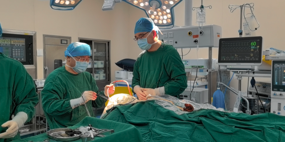 浙江大学康复医院近期开展多例神经外科康复手术